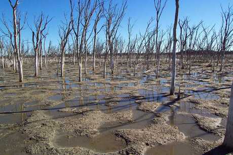 photograph of salt-scalded landscape at Lake Eganu