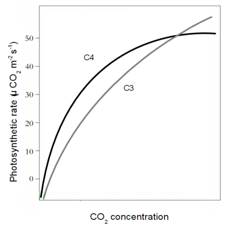 C4_vs_C3_CO2_curves.png