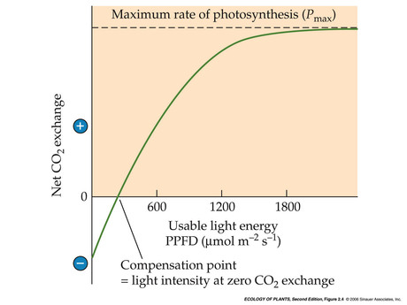 Light response curve