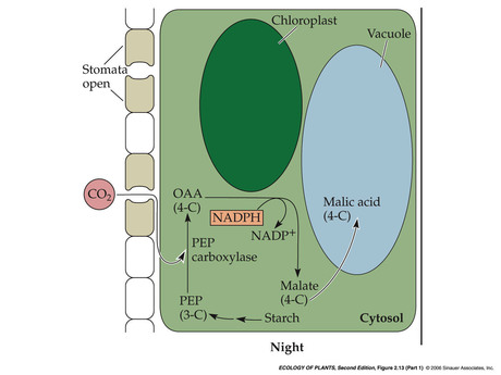 EP2e-Fig-02-13-1.jpg