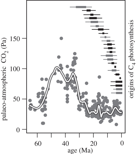 Osborne+Sack-2012_Fig_2.jpg