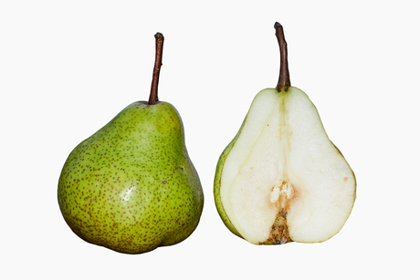 Pear_DS.jpg