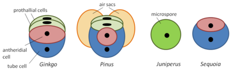 See https://encyclopedia.pub/entry/12219