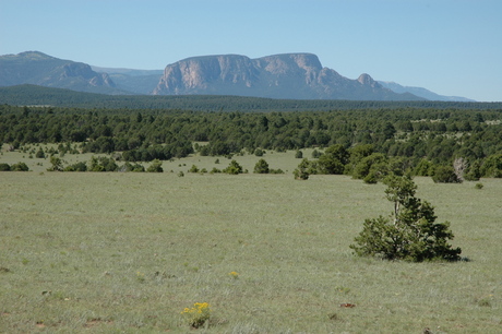 new_mexico_pj-woodland-schwilk.jpg