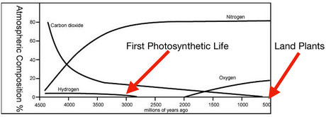 oxygenation_event.png