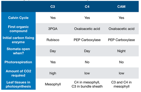 photosynth_compare_table.png