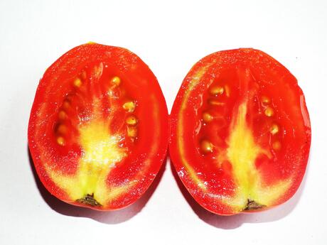 Tomato cross section